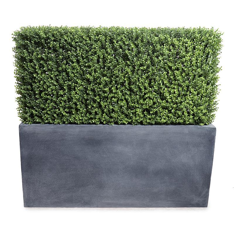 42"L x 42"H Boxwood Hedge in 45" planter - New Growth Designs