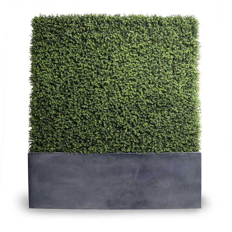 62" x 72"H Boxwood Hedge with Planter