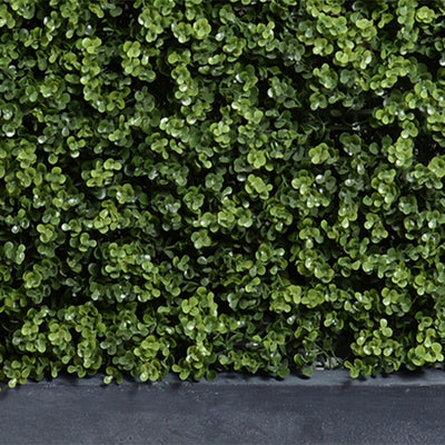 62" x 72"H Boxwood Hedge with Planter