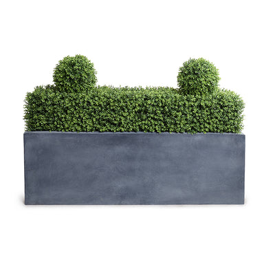 12" x 62"L Boxwood Low Hedge with Planter