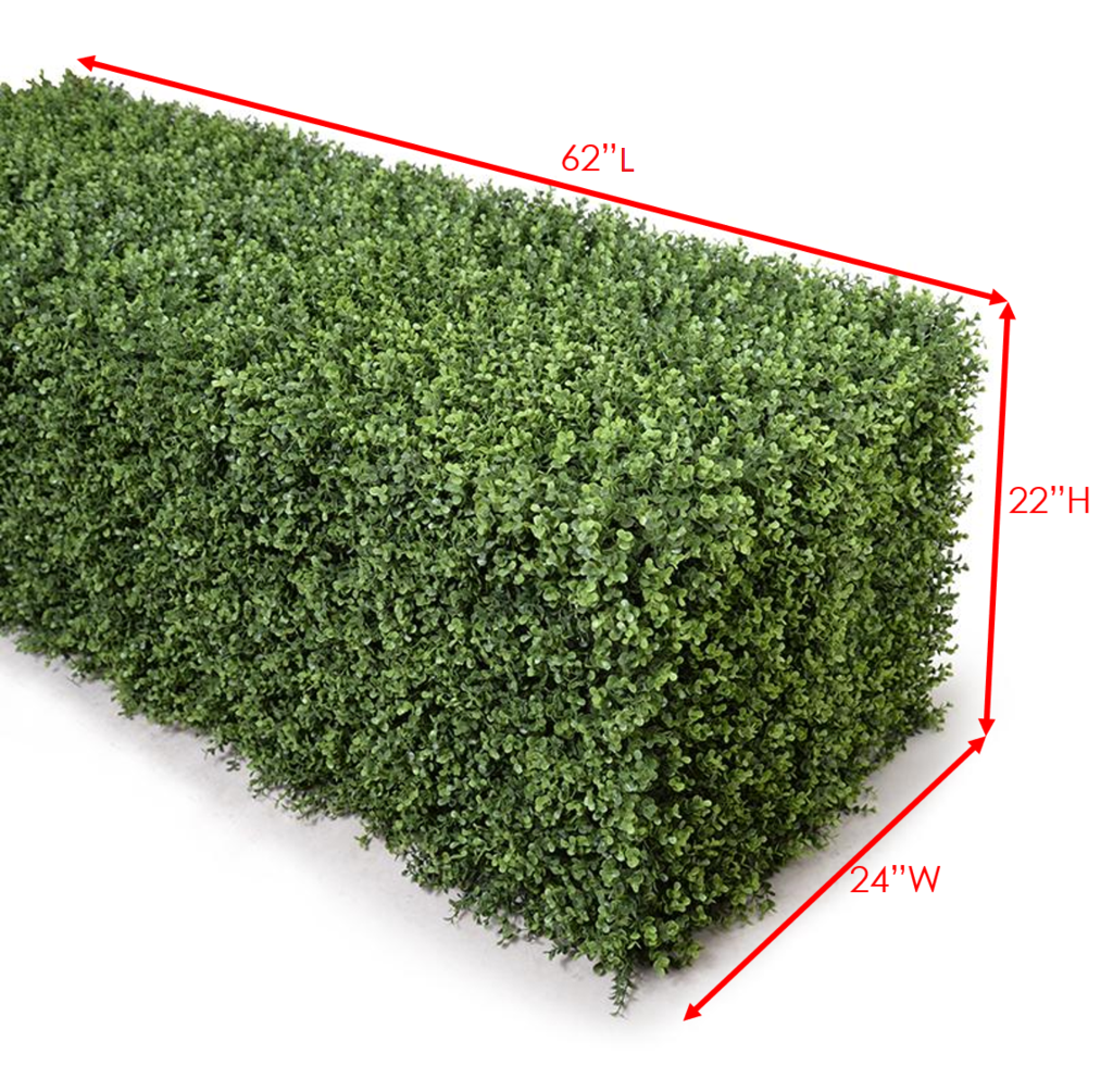 62" Boxwood Hedge (Extra Wide) - New Growth Designs