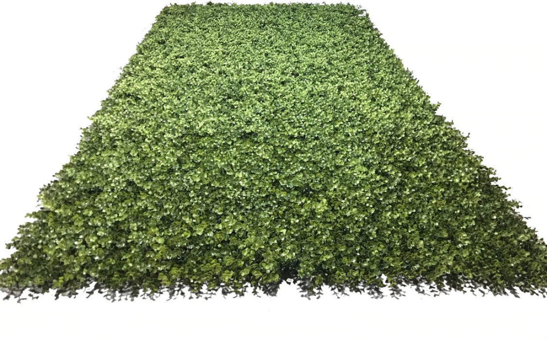 Wholesale Artificial Boxwood Greenery Wall Panel Mat (Roll) Outdoor 4' W x 8' H - Enduraleaf by New Growth Designs
