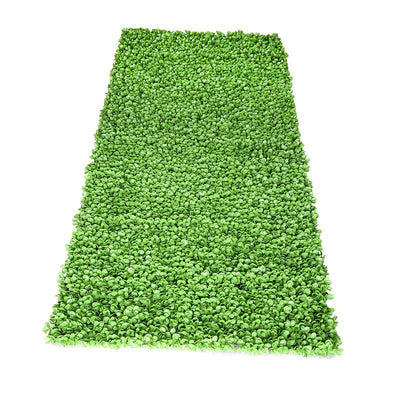 4' W x 8' H Peperomia Wall Mat (Roll) - New Growth Designs
