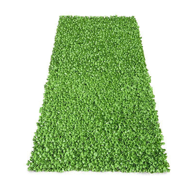 Wholesale Artificial Green Wall Panel Mat (Roll), Peperomia Outdoor 4' W x 8' H - Enduraleaf by New Growth Designs