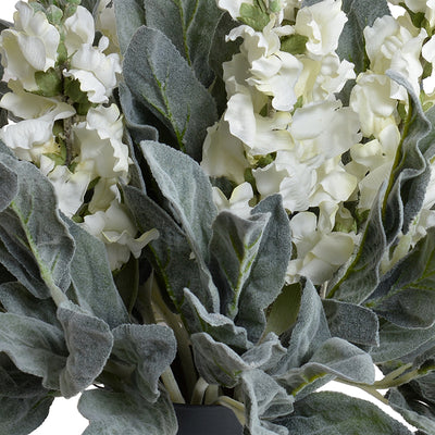 Lamb's Ear, Snapdragons in Gray Glass - Mixed