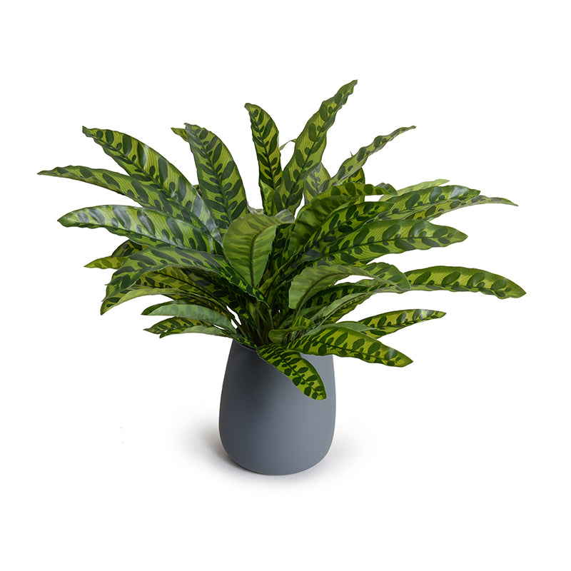 Wholesale Artificial Aglaonema Foliage in Grey Glass for Modern Indoor Decor Green - New Growth Designs