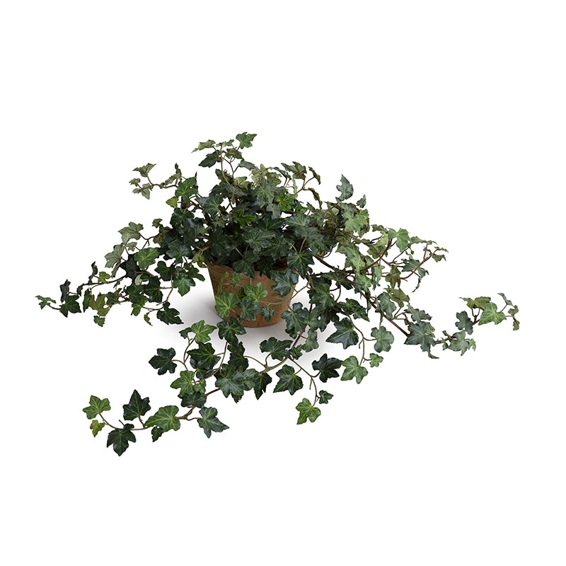 Realistic Wholesale Faux Ivy Plant in Clay Pot for Indoor Decor - New Growth Designs