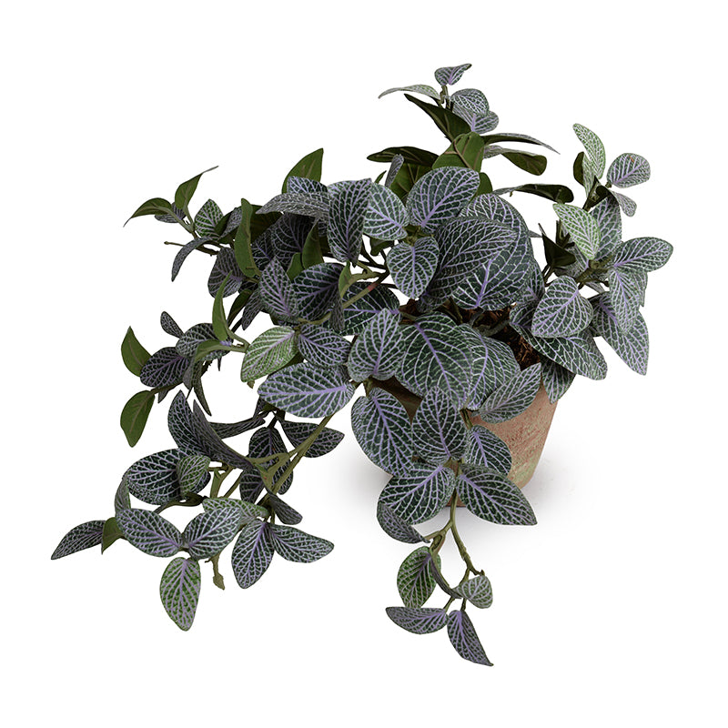 High-End Fittonia (Mosaic) Wholesale Faux Indoor Plant - New Growth Designs