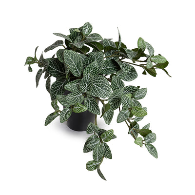 Lifelike Fittonia (Mosaic) Wholesale Artificial Indoor Plant in Ceramic Vase - New Growth Designs