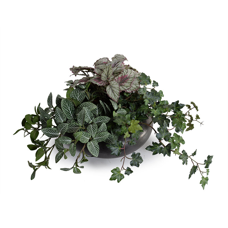 Assorted Greenery in ceramic bowl
