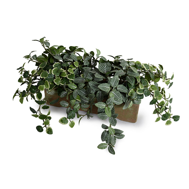 Wholesale Assorted Faux Greenery in Clay Planter for Contemporary Decor - New Growth Designs