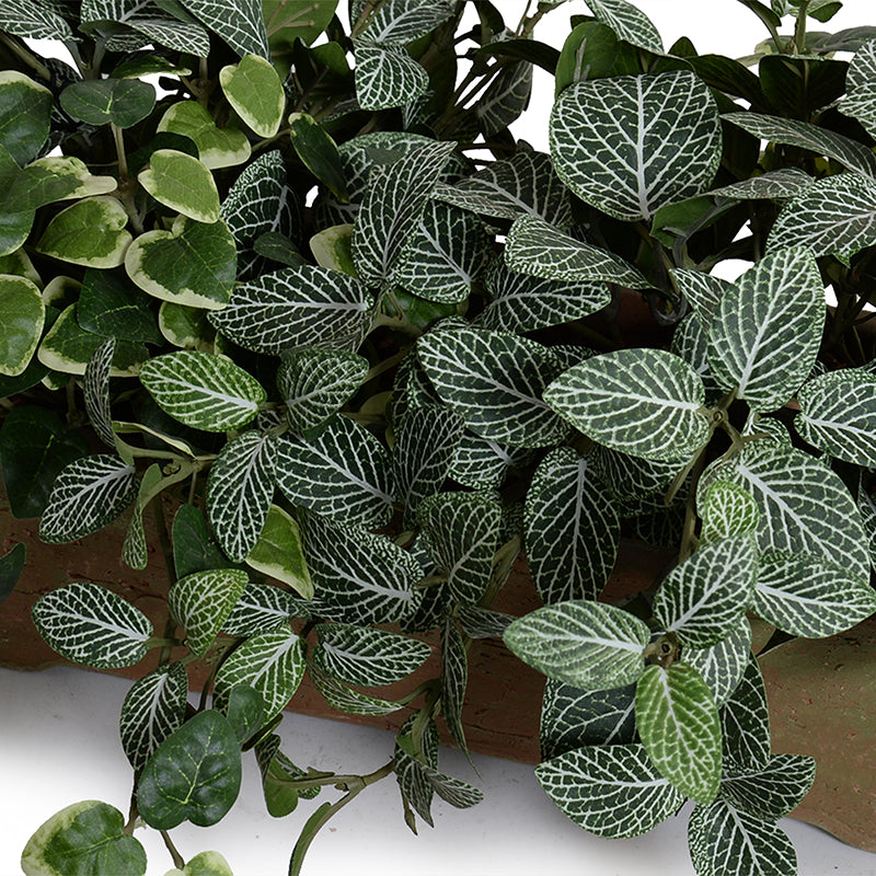 Assorted Greenery in long clay planter