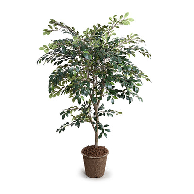 Modern Wholesale Faux Ruscus Tree with Natural Trunk for Indoor Decor 56 Inches Tall - New Growth Designs
