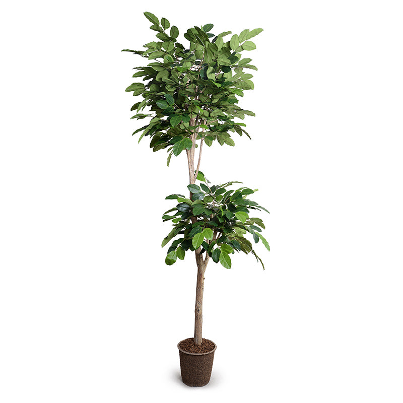 High-Quality Wholesale Faux Banyan Tree with Natural Trunk Indoor 9 Foot Tall - New Growth Designs