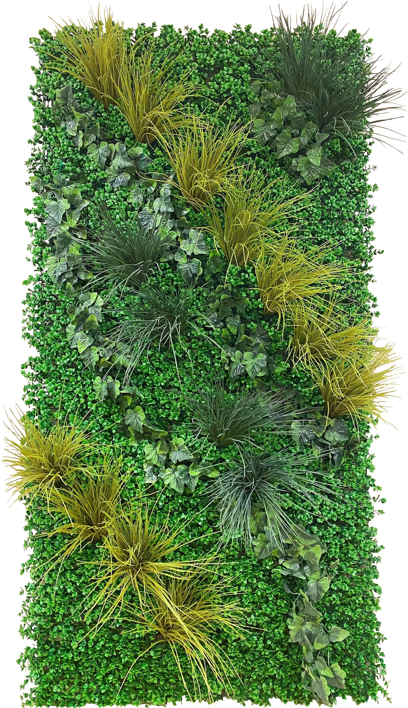 Wholesale Artificial Green Living Wallscape, Pachysandra, Grasses and Ivy Outdoor 4' X 8' - Enduraleaf by New Growth Designs