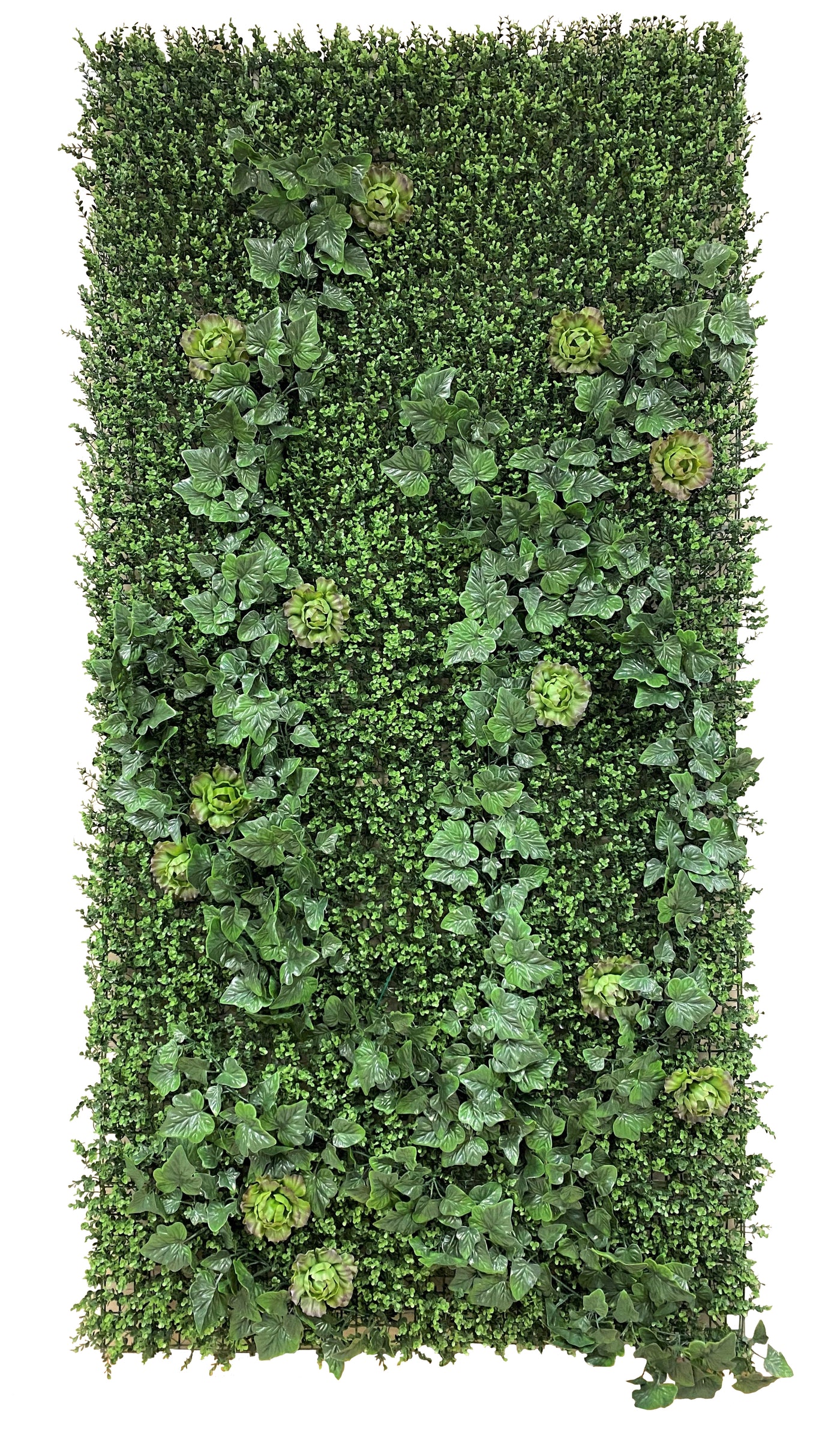 4' x 8' Green Wallscape Kit - Boxwood, Ivy, Succulents