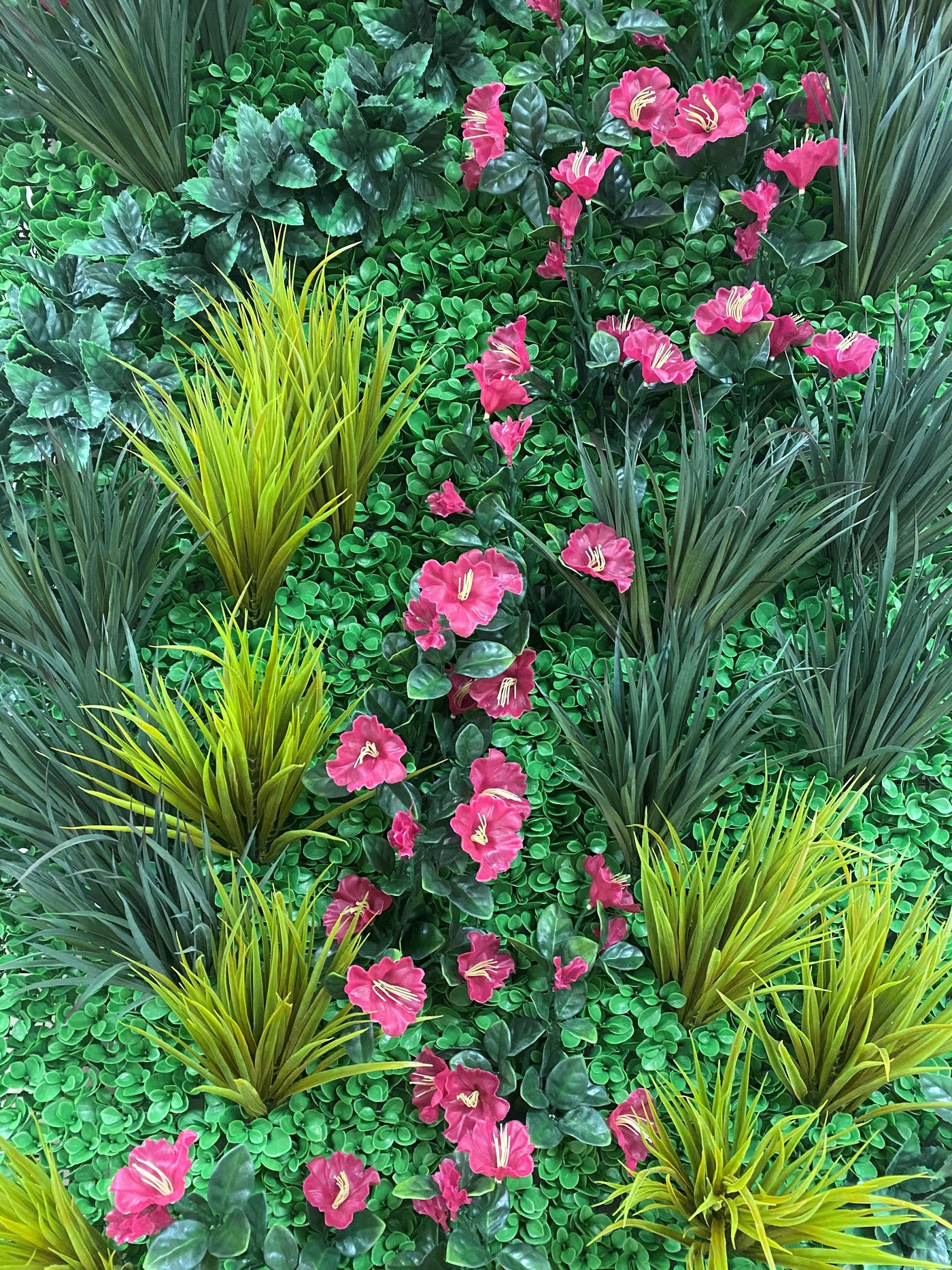Wallscape 4' x 8' Wallscape Kit - Peperomia, Grasses, Ligustrum, Petunia – New ...