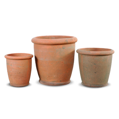 Terracotta - Rimmed Pot