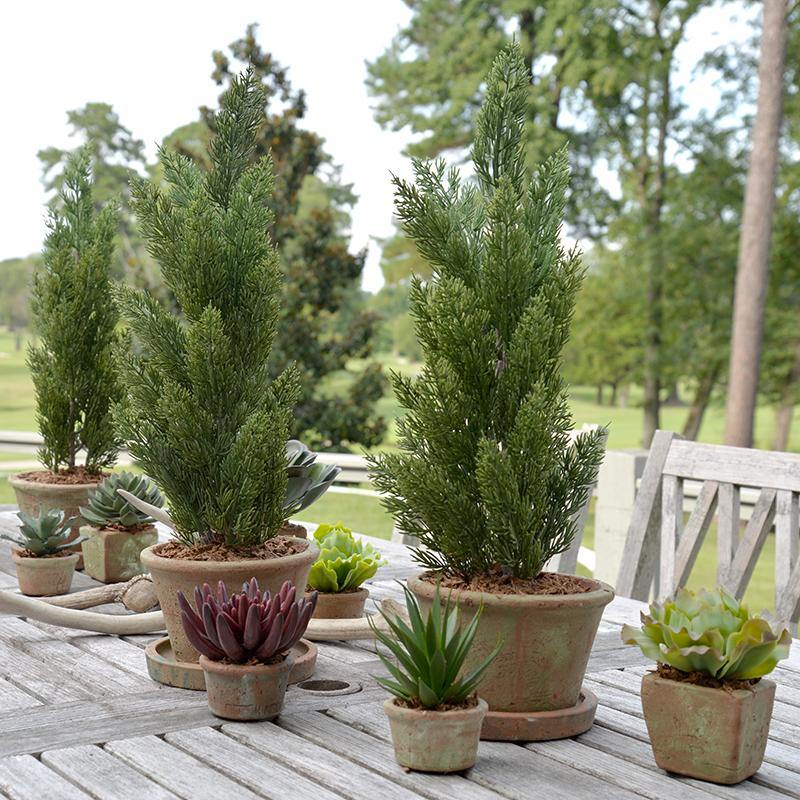 Cone-shaped Italian Cypress in Rustic Terracotta, 22" - New Growth Designs