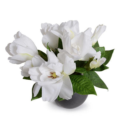 Natural Touch Gardenia in Ceramic Egg Vase - White - New Growth Designs