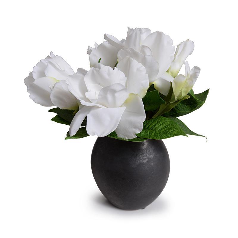 Natural Touch Gardenia in Ceramic Egg Vase - White - New Growth Designs