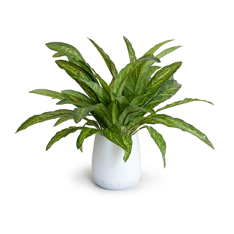 Wholesale Faux Aglaonema Leaves in White Glass for Indoor Decor Green - New Growth Designs