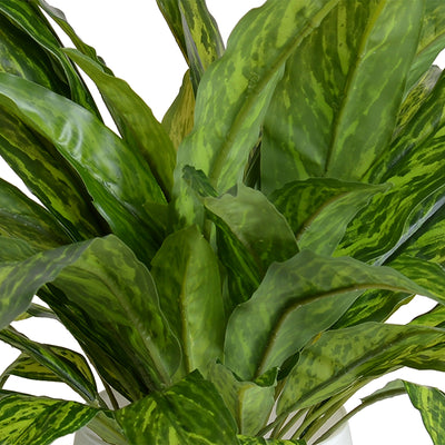 Aglaonema leaves in White Glass - Green