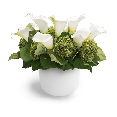 Calla Lily, Hydrangea Buds Arrangement in White Glass - Green-white