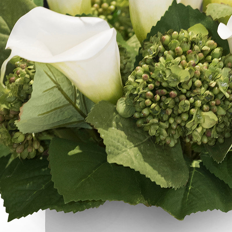 Calla Lily, Hydrangea Buds Arrangement in White Glass - Green-white