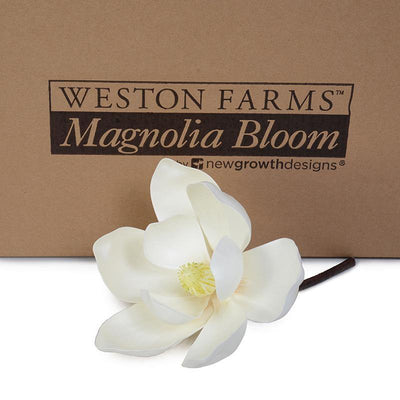 Magnolia Bloom, 8" D - Weston Farms - New Growth Designs