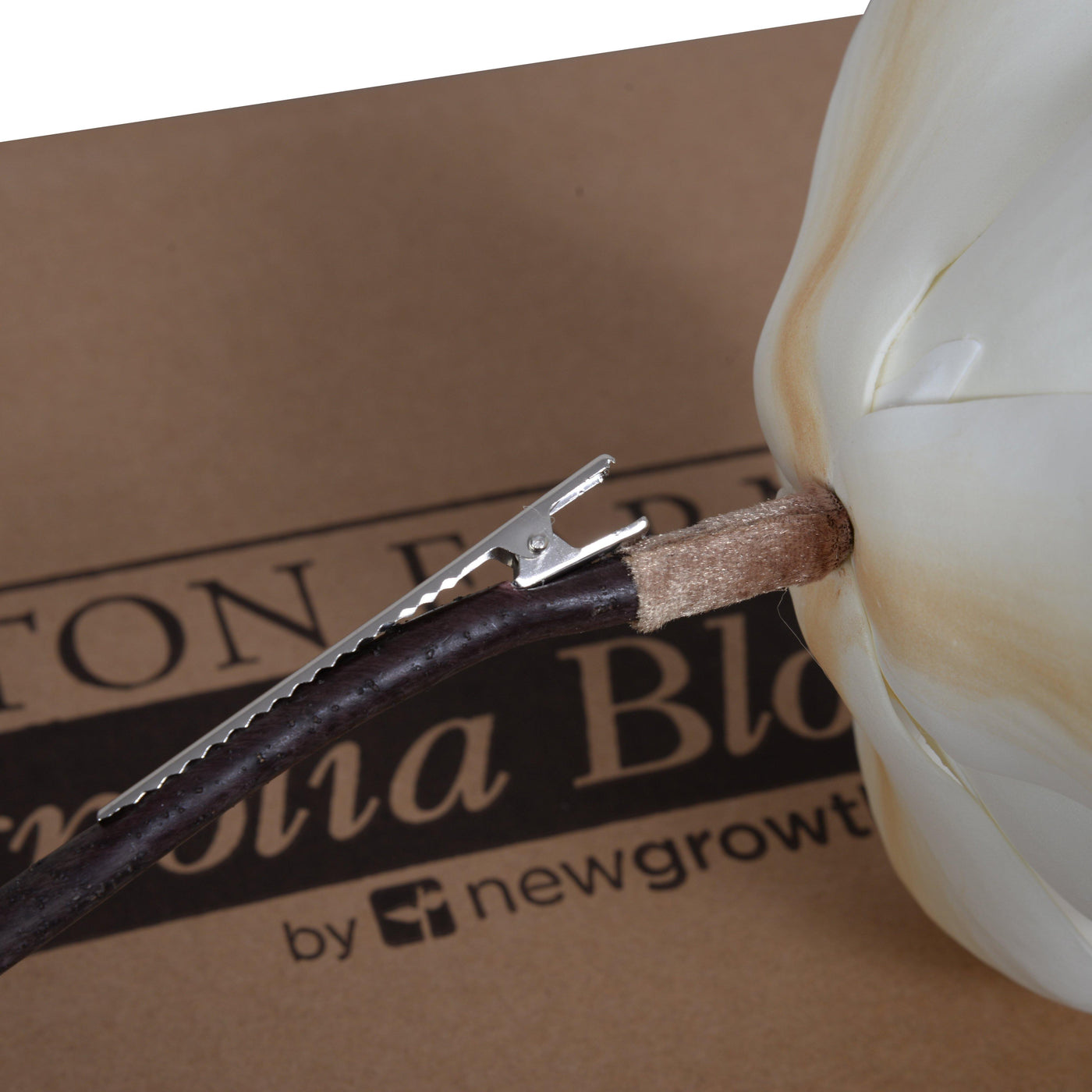 Magnolia Bloom, 5" D - Weston Farms - New Growth Designs
