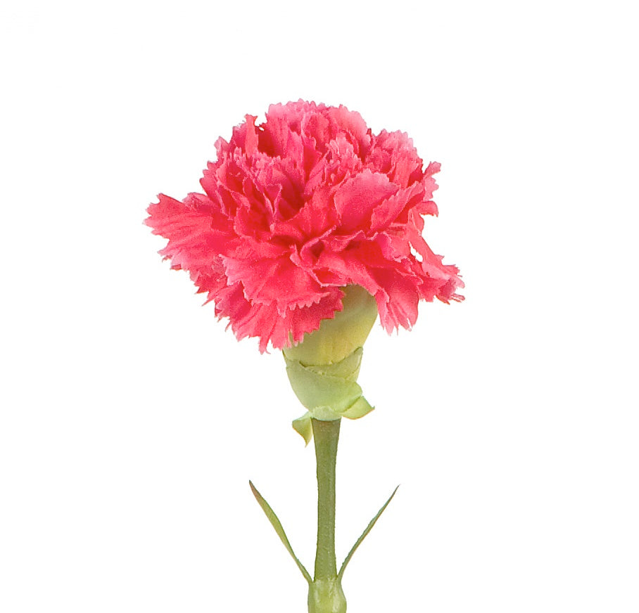 Carnation Stem, 23" L - Pink