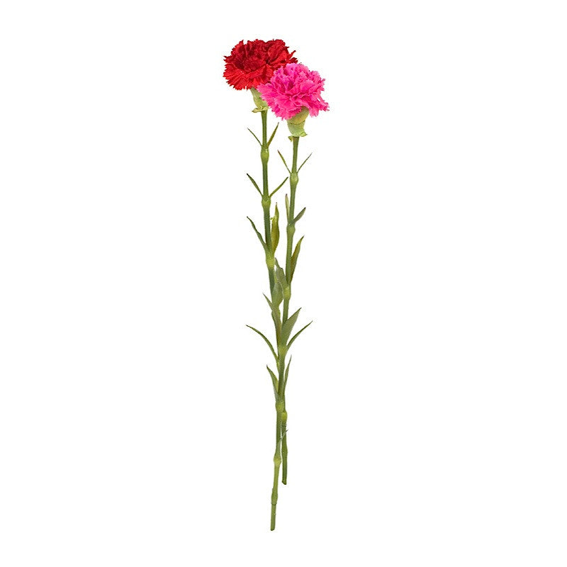Carnation Stems - New Growth Designs