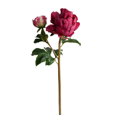 Peony Stem with Bud & Leaves, 26" - New Growth Designs