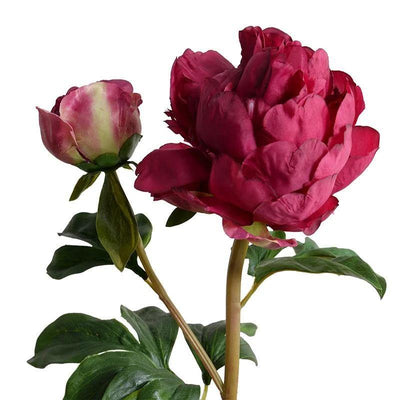 Peony Stem with Bud & Leaves, 26" - New Growth Designs
