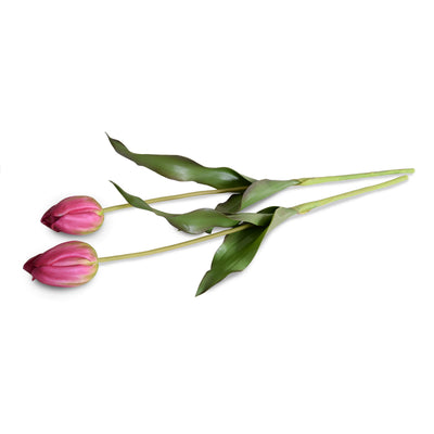 Tulip Stem, French - Burgundy-Green - New Growth Designs