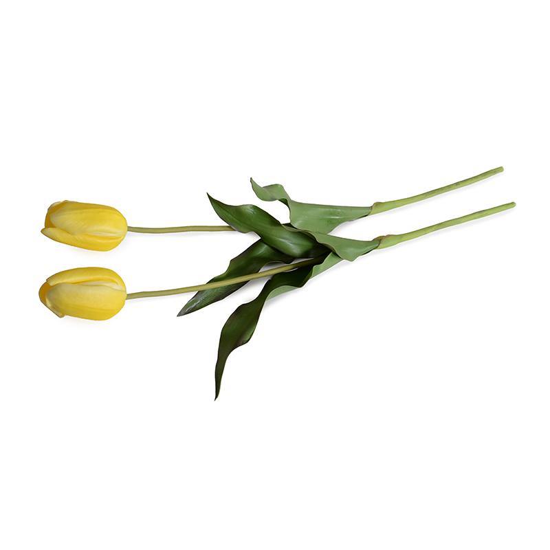 Tulip Stem, French - Yellow - New Growth Designs