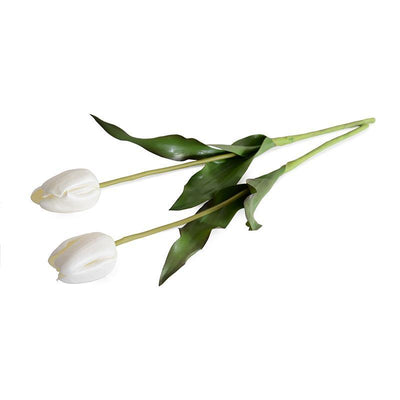 Tulip Stem, French - White - New Growth Designs