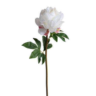 Peony Stem with Leaves, 26" - New Growth Designs