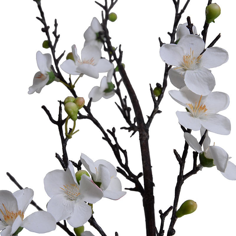 Quince flower branch, 60"L - White