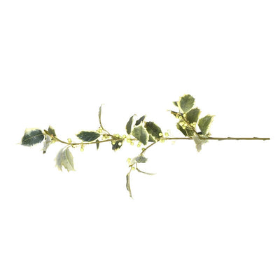 Holly spray, variegated - New Growth Designs