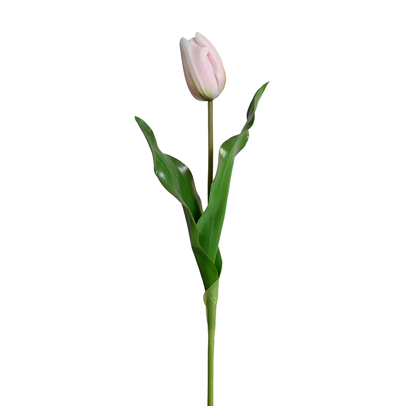 Tulip Stem, Dutch, 18"L - Light Pink