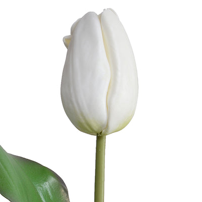 Tulip Stem, Dutch, 18"L - White