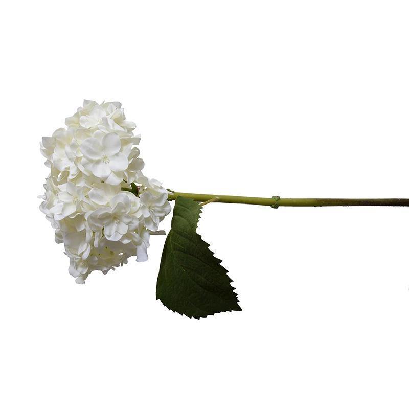 Hydrangea Stem with Leaf, 18" L - White - New Growth Designs