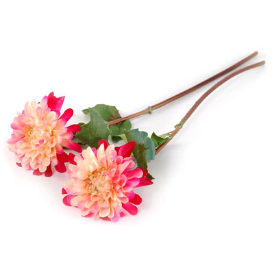 Dahlia Flower Stem - New Growth Designs