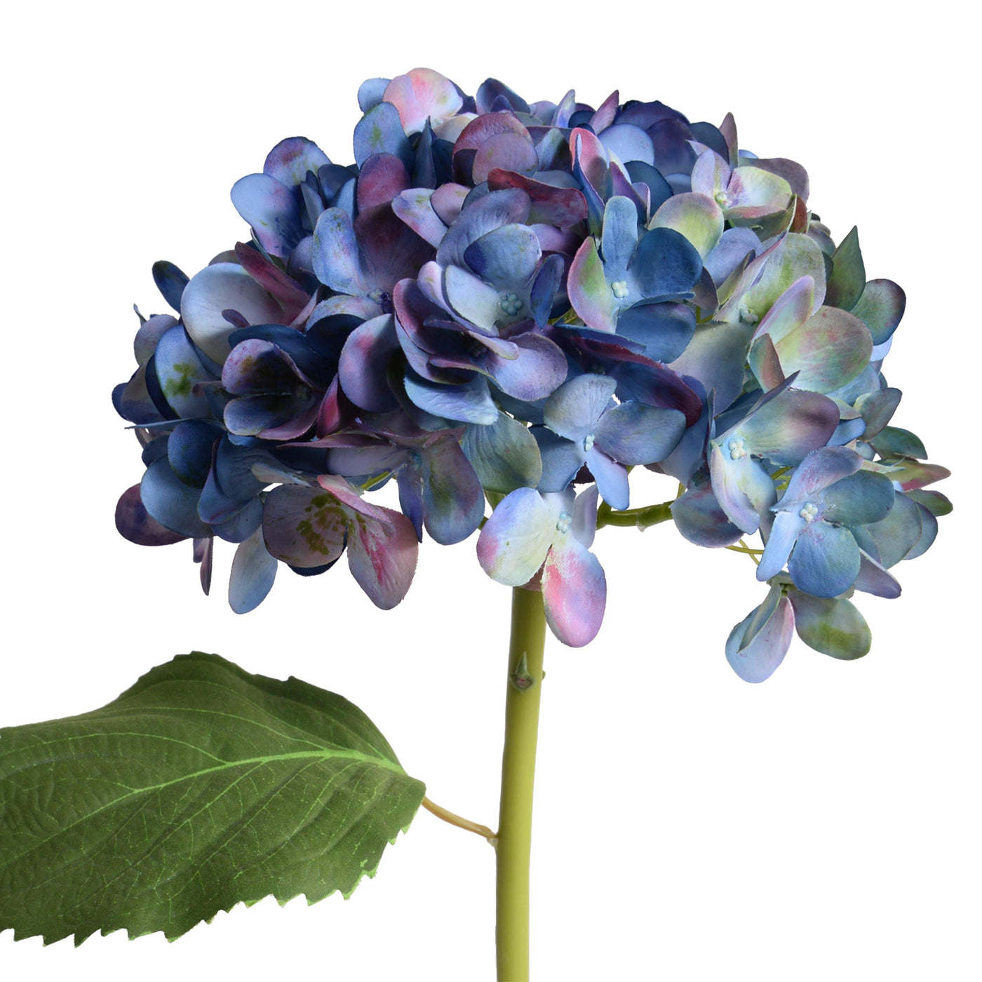 Hydrangea Stem with Leaf, 19" L - Blue - New Growth Designs