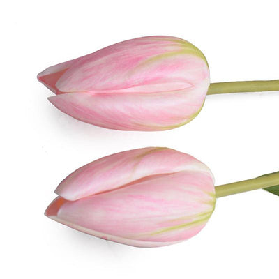 Tulip Stem, French - Pink - New Growth Designs