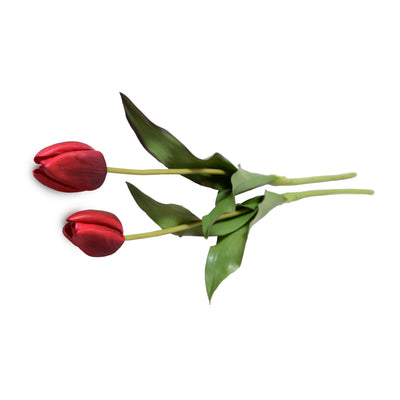 Tulip Stem, French - Red - New Growth Designs