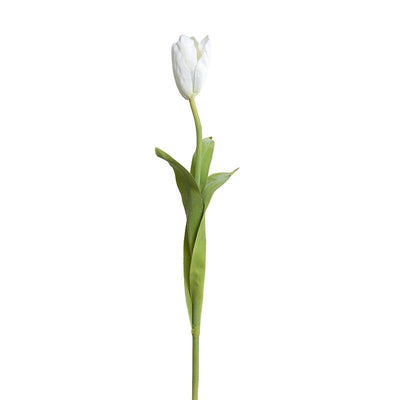 Tulip Stem, 22"L French - White - New Growth Designs