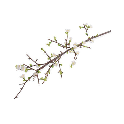 Quince Spray, 47" L - White - New Growth Designs